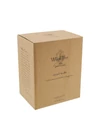 Willow Tree – Good Health angyal – Egészség és boldogság bősége – 13,5 cm